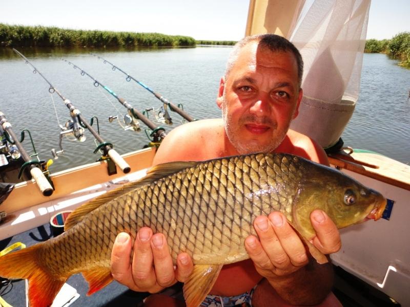 Delta iunie 2013 - dsc09889.JPG